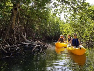 kayak adventures