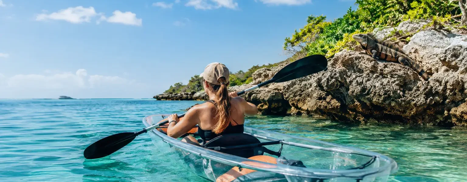 Iguana Island Wildlife Experience by Clear Kayak
