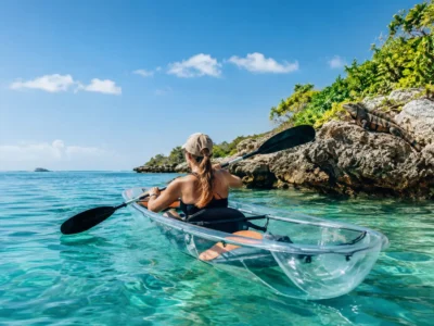 Iguana Island Wildlife Experience by Clear Kayak Iguana Island Wildlife Experience by Clear Kayak